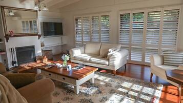 TV, fireplace, toys, books