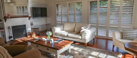 TV, fireplace, toys, books