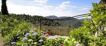 Gite 5 persons in a stone mas, swimming pool, property 10Ha, panoramic view