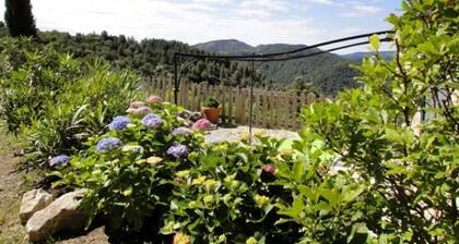 Gite 5 personnes dans un mas en pierre,piscine, propriété 10Ha, vue panoramique