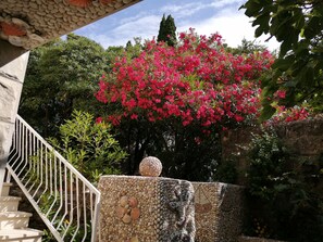 Villa, Multiple Beds | Property grounds