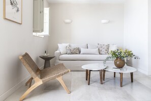 32-英寸纯平电视 （配备卫星频道）、电视