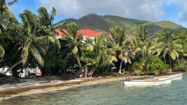 A coastal scene with palm trees, a boat, and a building with a red roof. - Diamond Plaza Beachfront Apartment  (Grand Anse)