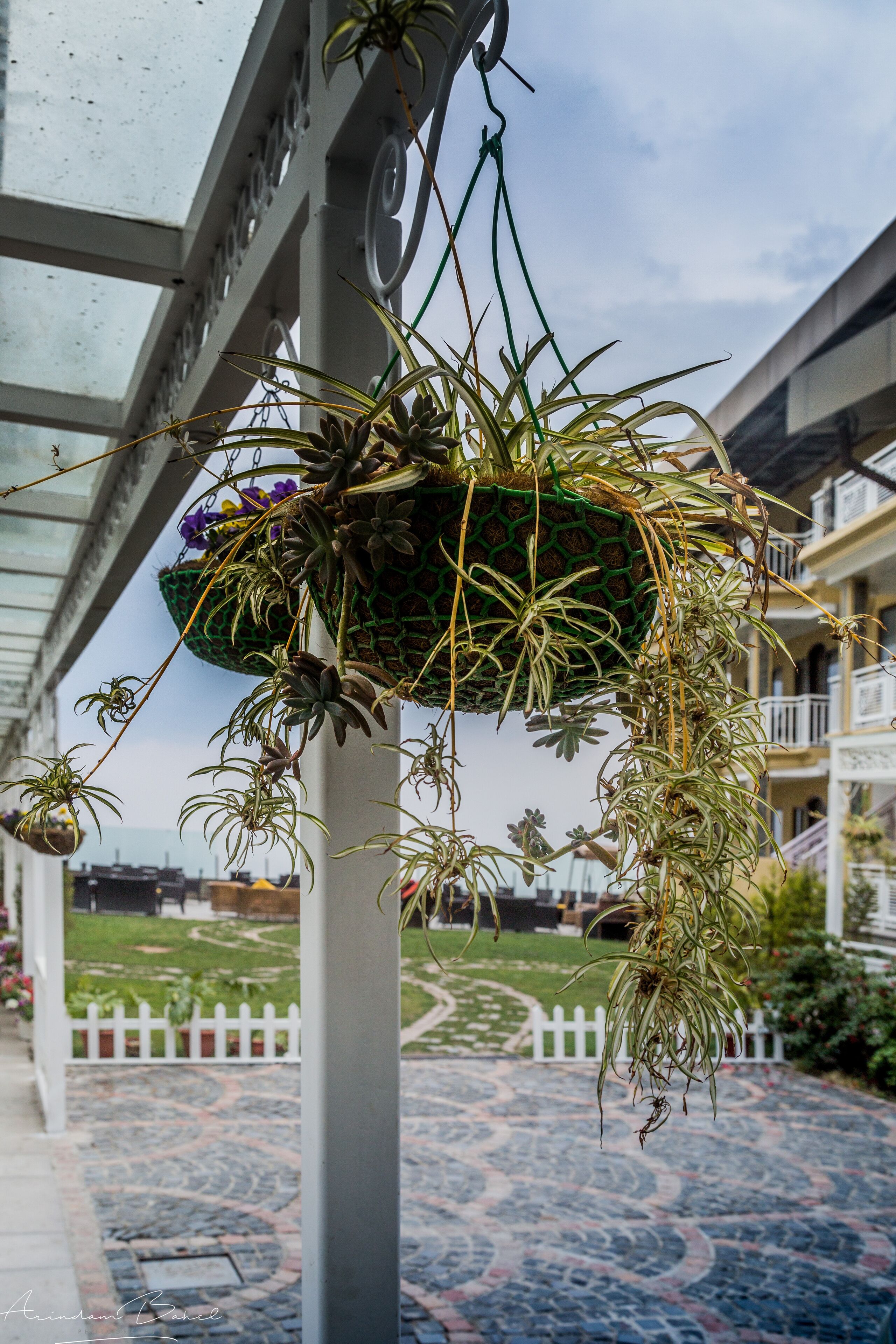 A hanging planter with various plants and flowers, a patterned floor, and a white fence in the background.