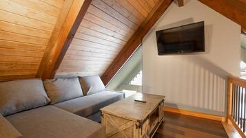 Televisión, chimenea y libros