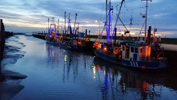 A row of boats docked at a pier with a calm water body reflecting the sky. - Quietly located vacation apartment near the dike (Wurster Nordseeküste)
