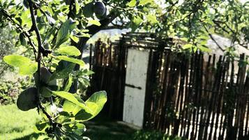 Cottage | Property grounds