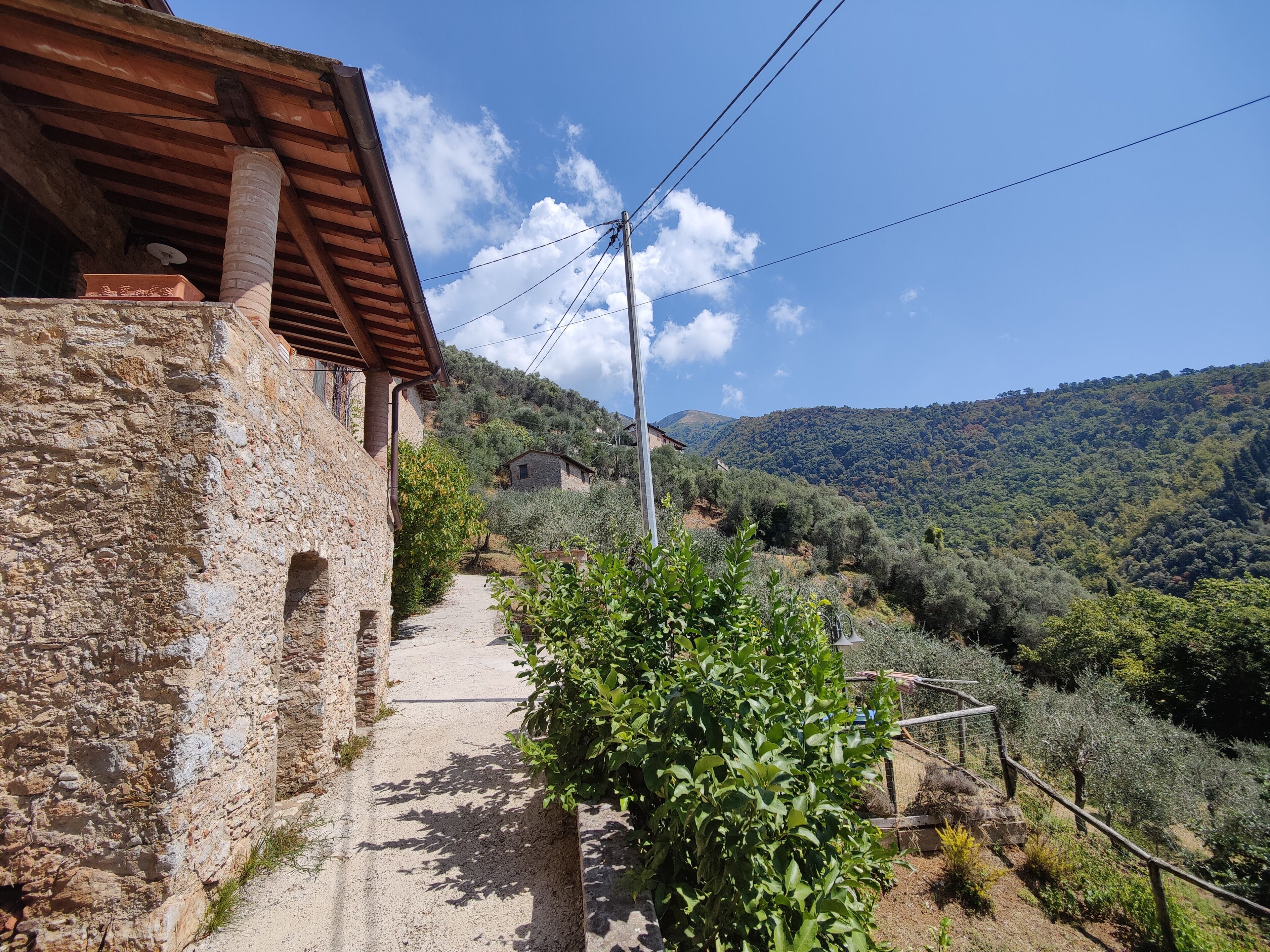 Parco della struttura