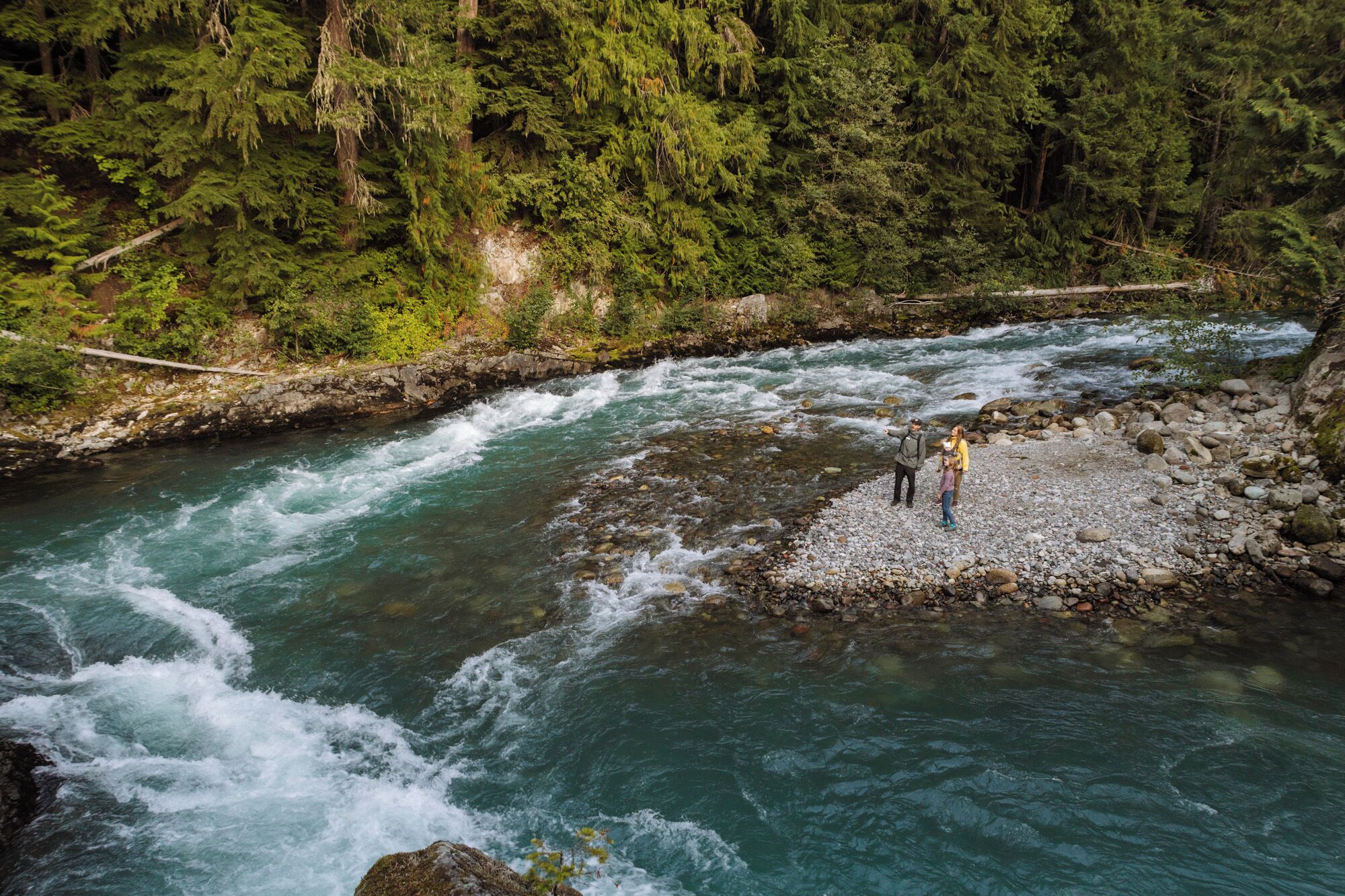 Ein Fluss fließt durch ein bewaldetes Gebiet mit steinigen Ufern.