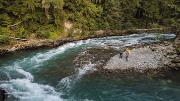 Ein Fluss fließt durch ein bewaldetes Gebiet mit steinigen Ufern.