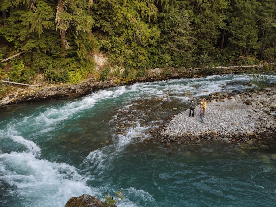 Ein Fluss fließt durch ein bewaldetes Gebiet mit steinigen Ufern.