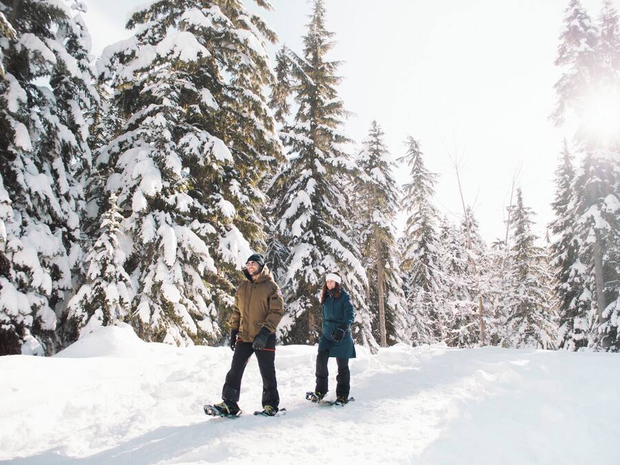 Deux personnes font de la planche à neige dans une forêt enneigée.