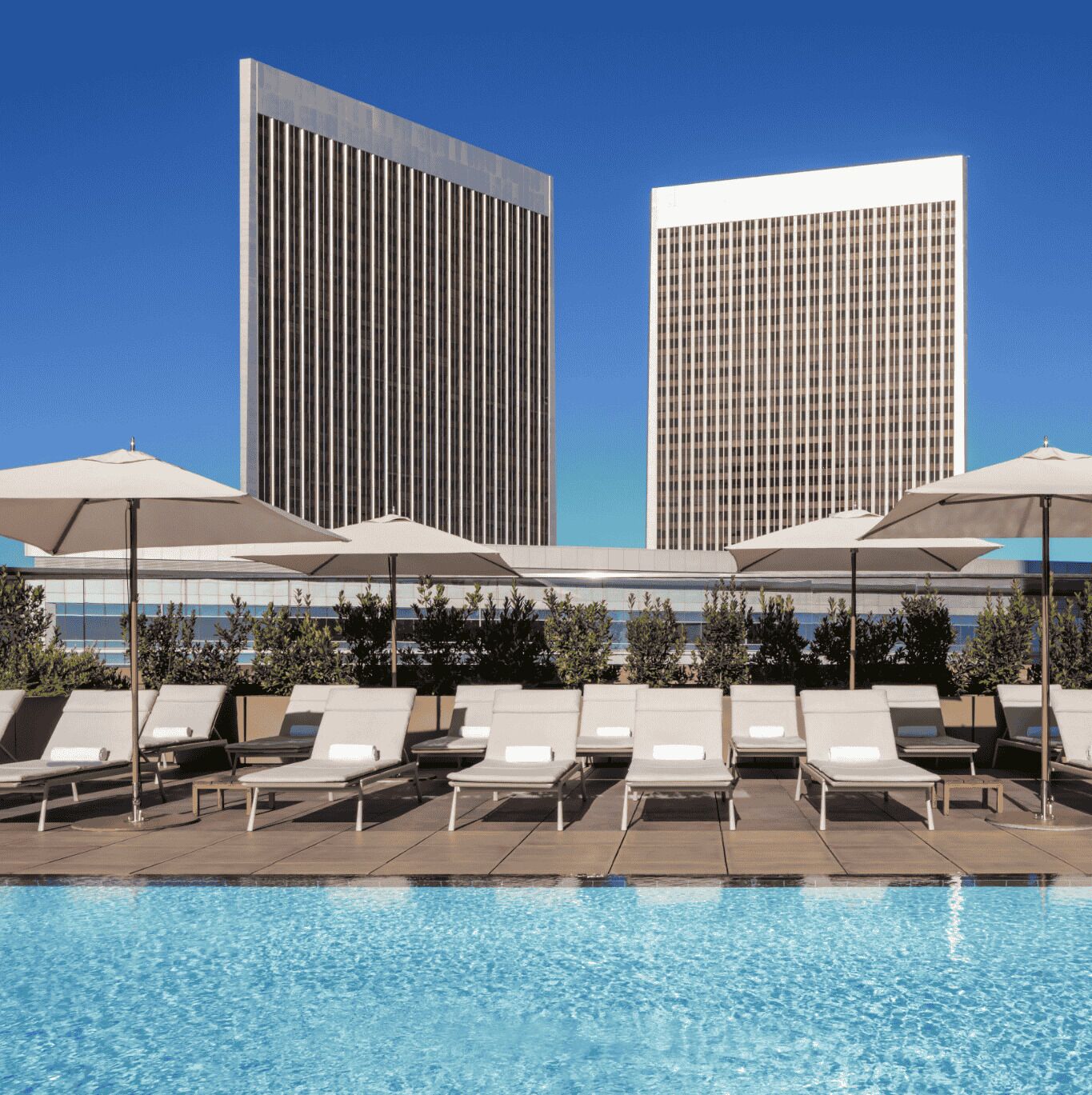 A poolside area with lounge chairs and umbrellas, a clear blue sky, and two modern buildings in the background.