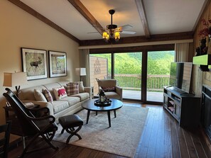 Smart TV, fireplace, DVD player, video library