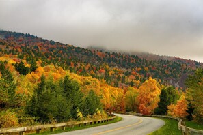 Eine kurvenreiche Straße durch ein bewaldetes Gebiet mit Herbstlaub.