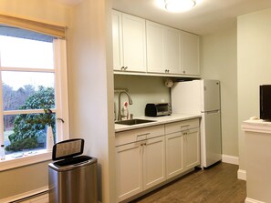 Fridge, microwave, coffee/tea maker, electric kettle