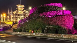 Un bâtiment doté d’une tour circulaire et d’une grande structure ressemblant à un rocher, recouverte de fleurs roses.