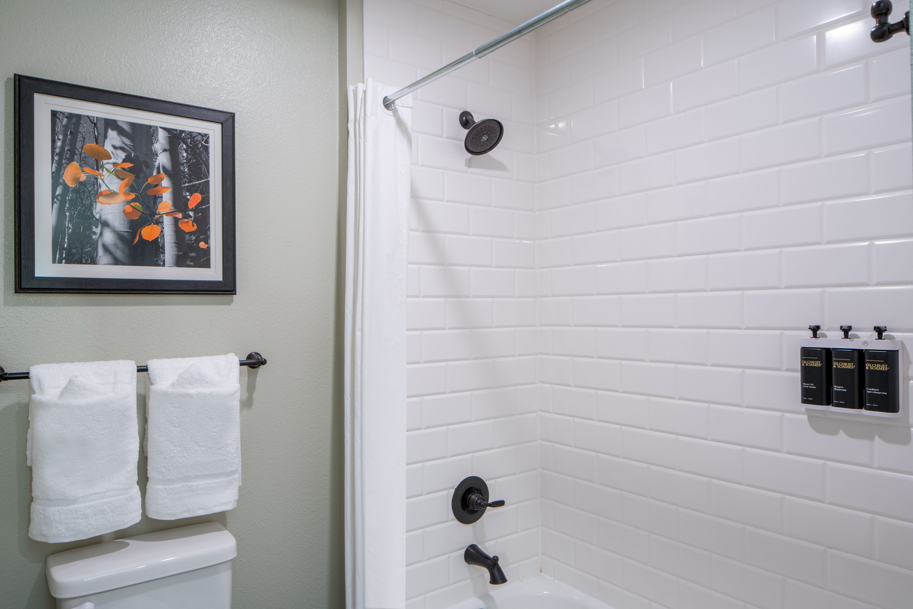 hair dryer, towels, soap, shampoo