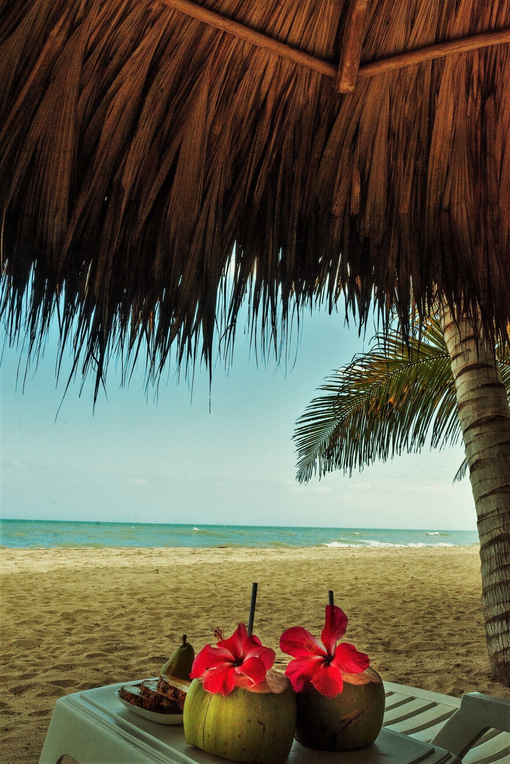 Casalina Ecolodge in Palomino, Colombia
