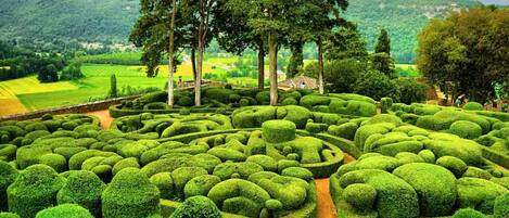 Terrein van de accommodatie