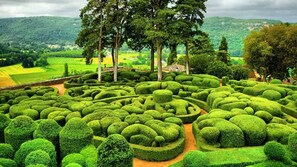 Ein sorgfältig angelegter Garten mit geometrischen Formschnitten und verschiedenen Bäumen.