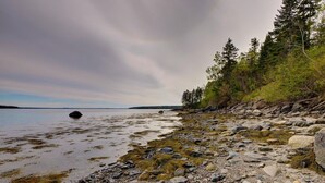 A rocky shoreline with trees and a calm body of water.