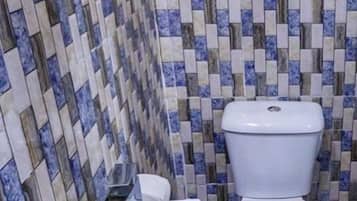 Shower, towels, toilet paper