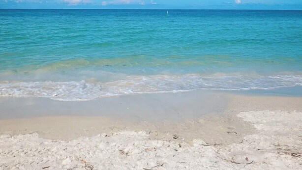 A beach with clear blue water and a sandy shore. - Sunset Beach Getaway – Steps to the Beach, Walk to Restaurants, Sleeps 8! (Treasure Island)
