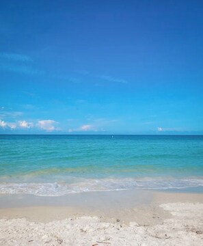 Una playa con agua azul cristalina y una orilla arenosa.