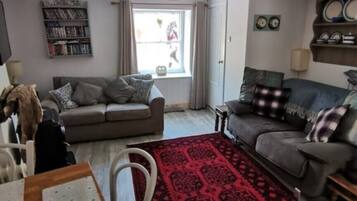 TV, fireplace, DVD player, books