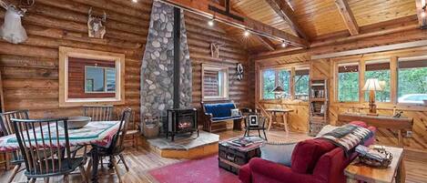 TV, fireplace, books