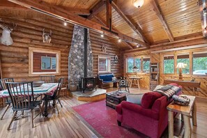 Télévision, cheminée, livres