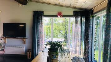 1 bedroom, iron/ironing board, bed sheets