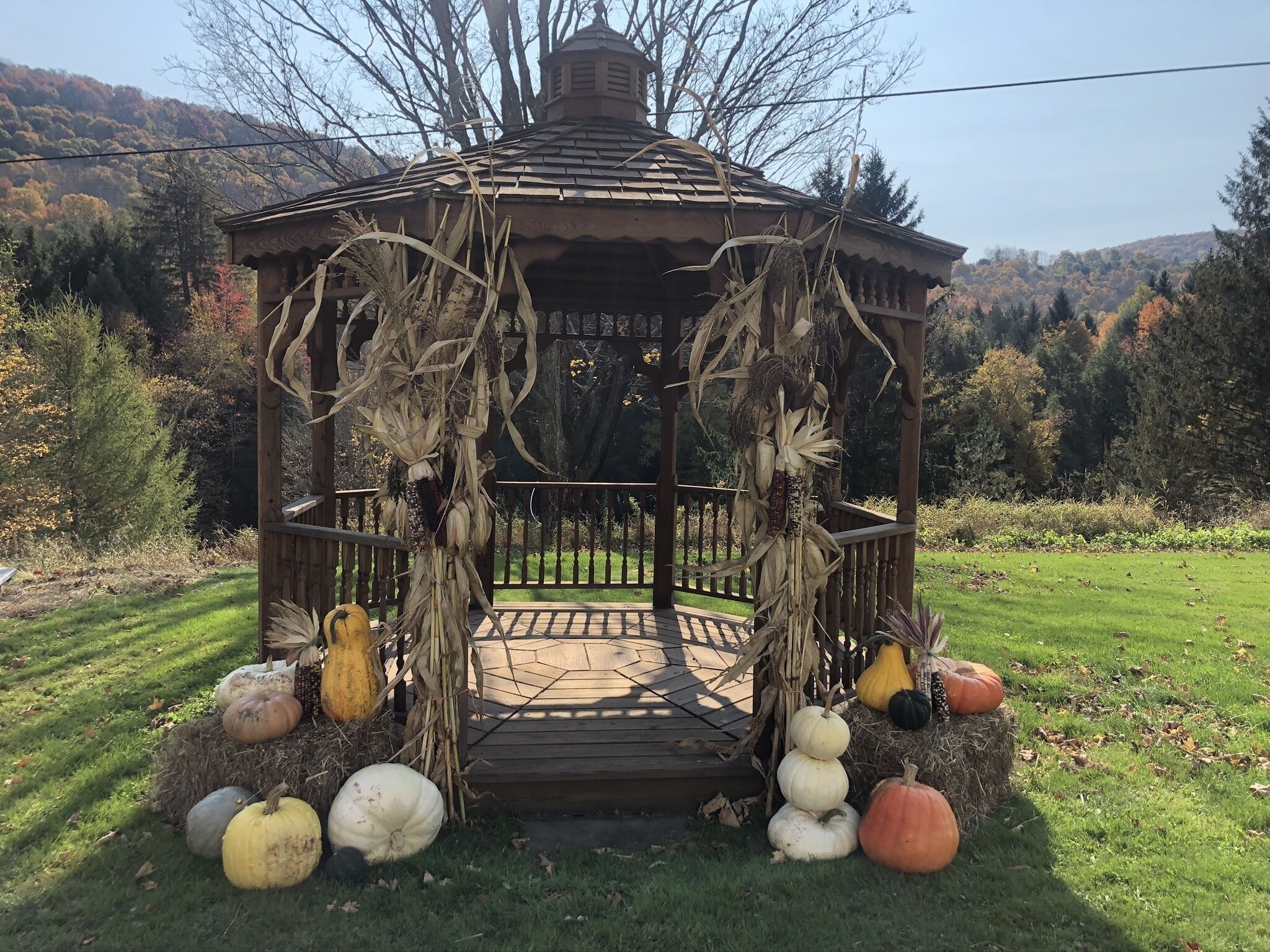 Un gazebo con struttura in legno e tetto, circondato da zucche e zucche decorative di varie forme.