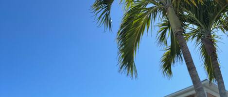 Een buitenzwembad en een verwarmd zwembad