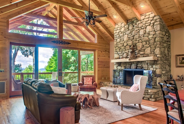 TV, fireplace, DVD player, books