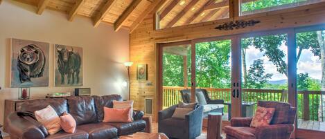 Televisión, chimenea, reproductor de DVD, libros