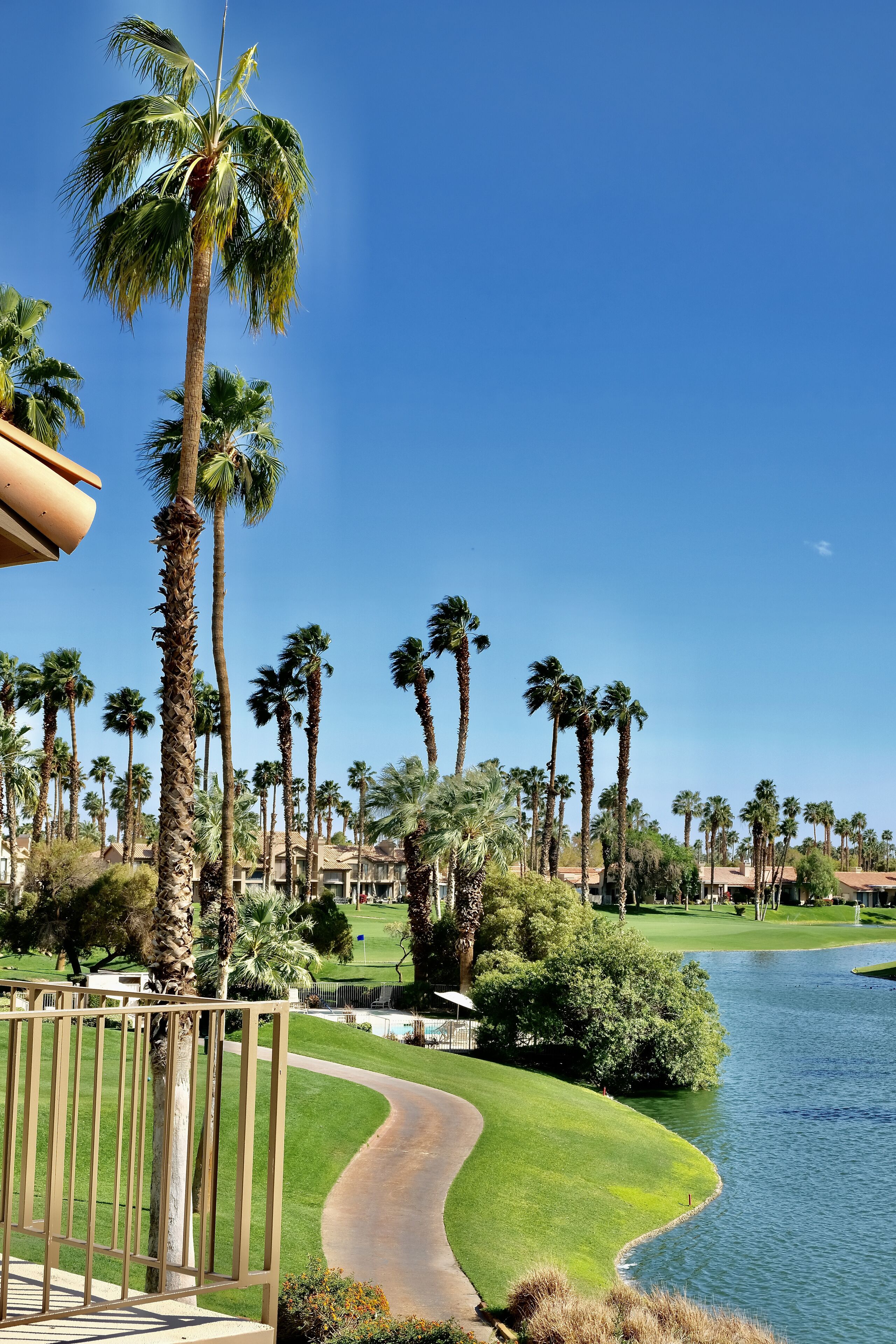 Ein Golfplatz mit Palmen, einem Wasserlauf und einem Weg.