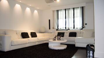 Smart TV, chimenea, reproductor de DVD y libros