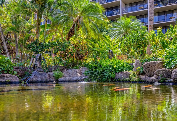 A tropical garden with a pond, rocks, and palm trees. - Large Remodeled with Ocean View (Lahaina)