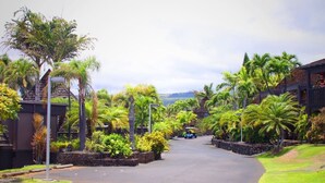 A residential street lined with palm trees and houses, featuring a clear road and a distant view of mountains.