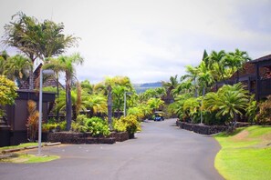 Property grounds - #11 Colony One at Sea Mt. Punalu`u (Pahala)
