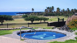 A hot tub with a metal ladder, surrounded by a stone wall, palm trees, and a view of the ocean.