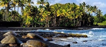 #11 Colony One at Sea Mt. Punalu`u