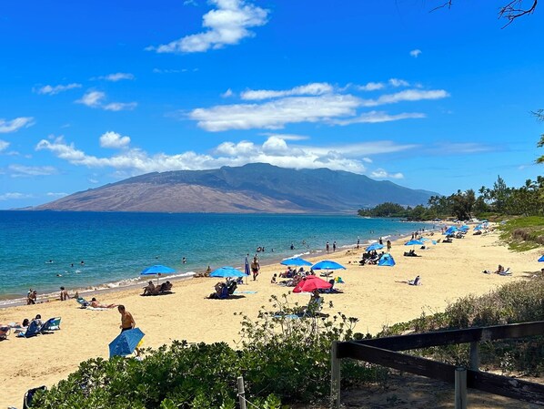Une plage où des gens se prélassent au soleil et se baignent, avec des parasols bleus et une montagne en arrière-plan.