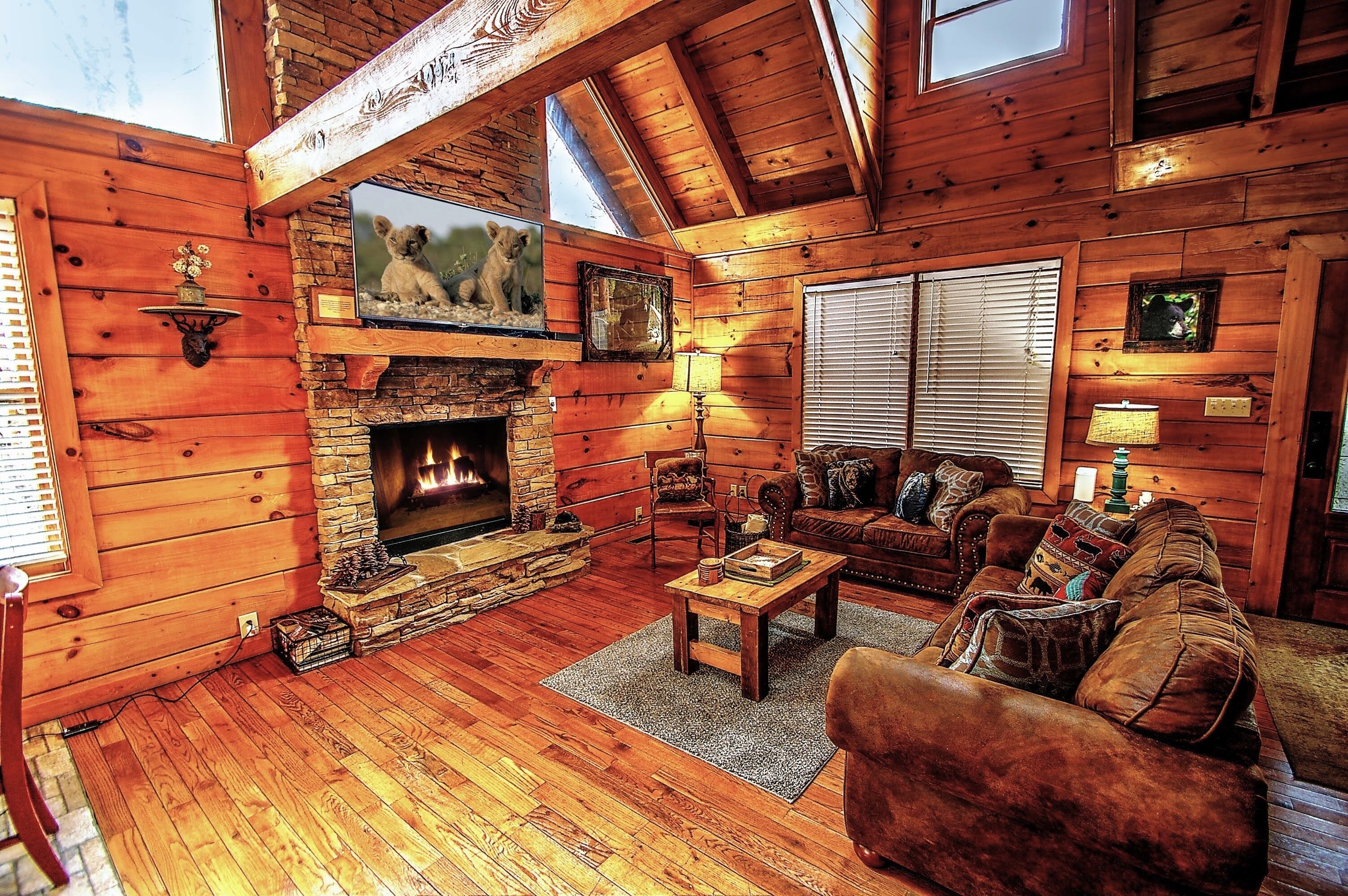 電視、壁爐、DVD 播放機、書籍