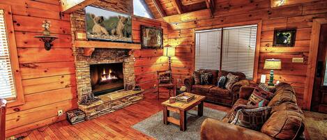 Fernseher, Kamin, DVD-Player, Bücher