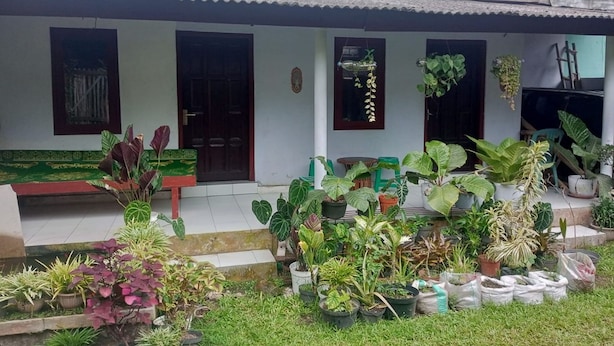Una casa con tejado de baldosas, múltiples ventanas y una variedad de macetas con plantas, tanto dentro como fuera.