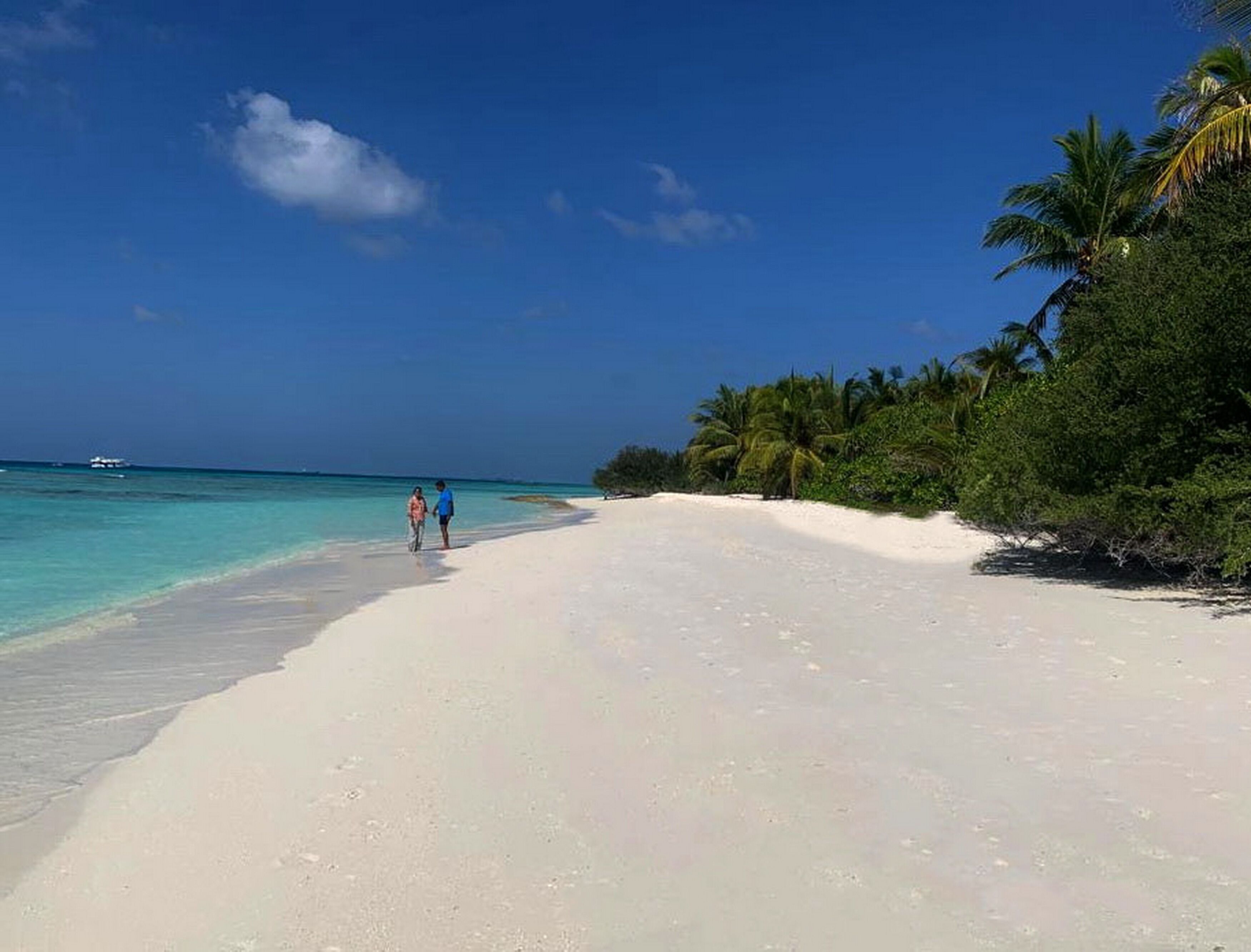 Foto - Adroit Beach Inn