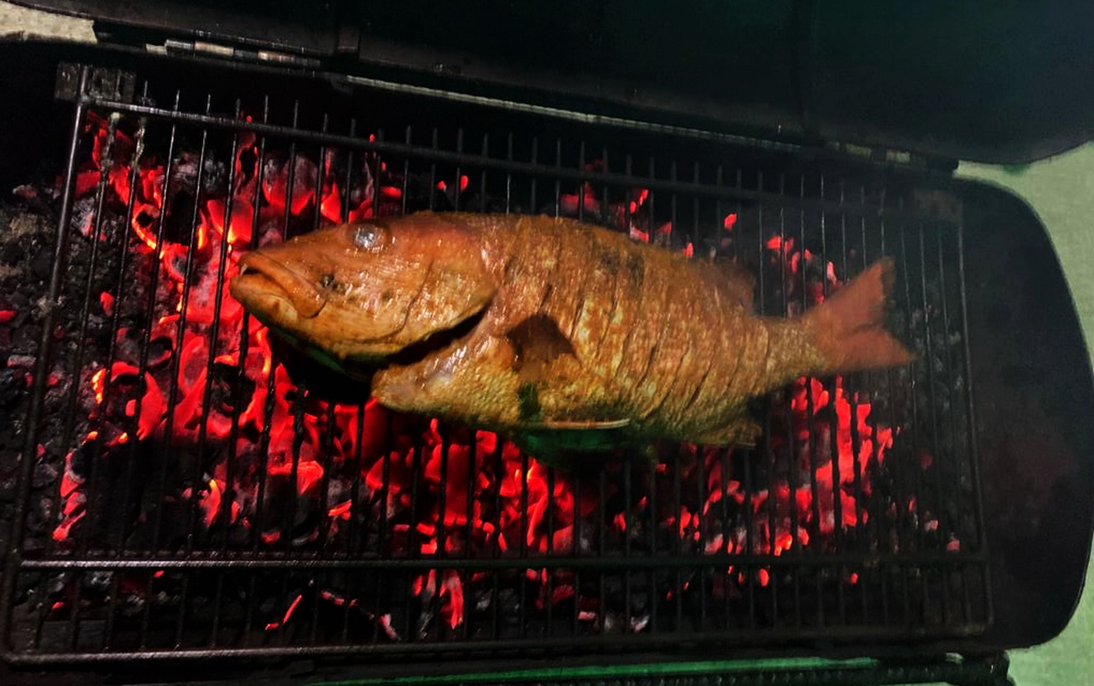 A fish being grilled over charcoal.